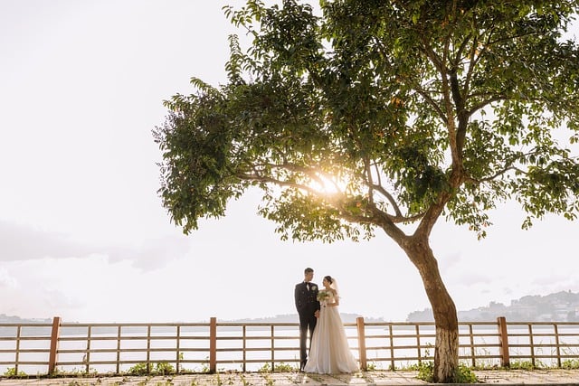 A married couple under a tree