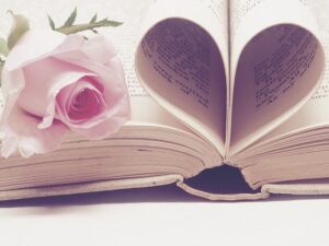 A book with a flower resting on it