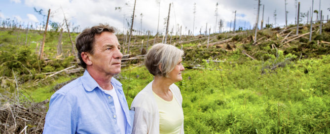 Older couple looking seriously at a field of downed trees