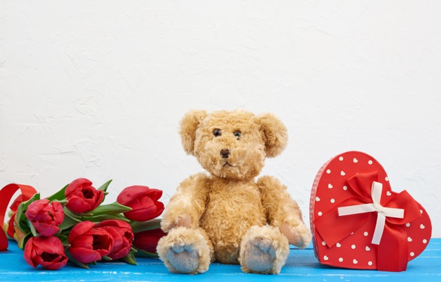 cute brown teddy bear sits on a blue wooden background with a bouquet of red tulips, red box, festive backdrop for tedy day.