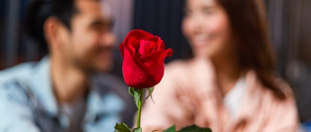 Rose Day Gift Ideas Beyond Flowers