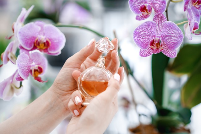 Women's hands hold a bottle of perfume. Elegance and luxury. Toilet water among orchids. Cosmetics. Woman removing the lid from the perfume